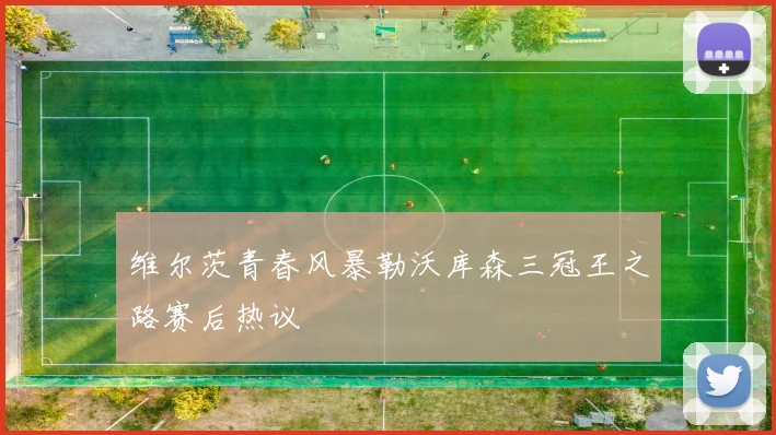 维尔茨青春风暴勒沃库森三冠王之路赛后热议