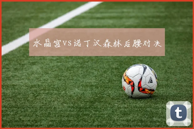 水晶宫vs诺丁汉森林后腰对决