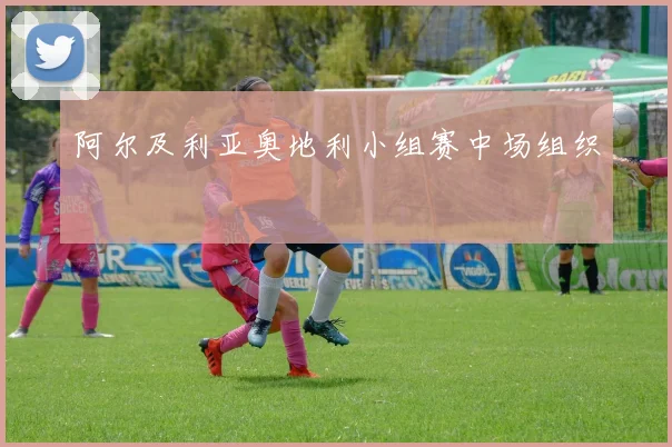 阿尔及利亚奥地利小组赛中场组织