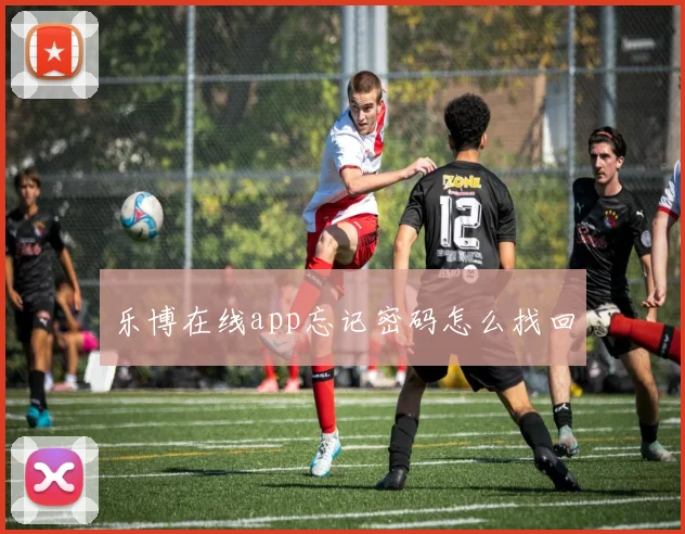 乐博在线app忘记密码怎么找回