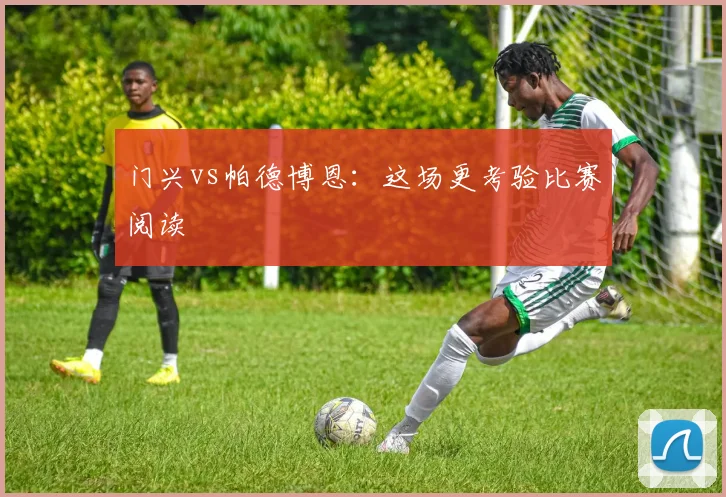 门兴vs帕德博恩：这场更考验比赛阅读