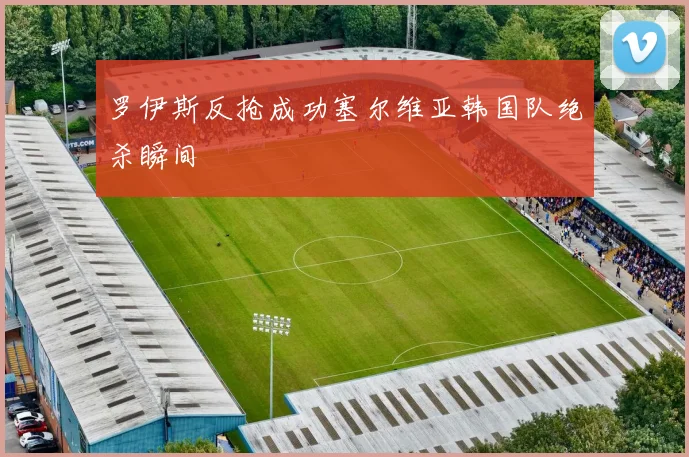 罗伊斯反抢成功塞尔维亚韩国队绝杀瞬间