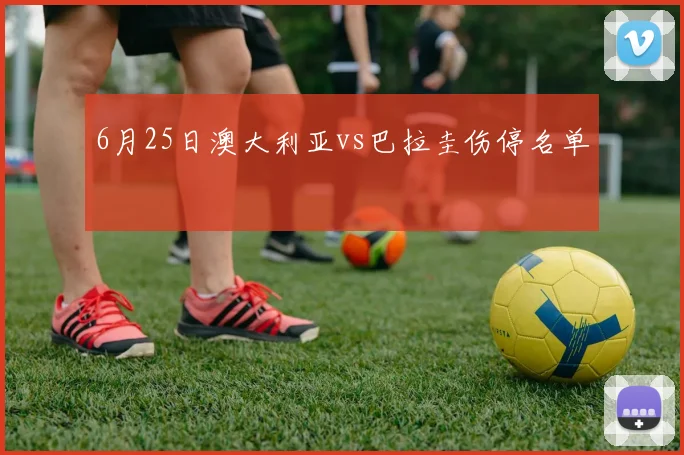 6月25日澳大利亚vs巴拉圭伤停名单