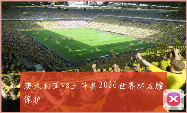 澳大利亚vs土耳其2026世界杯后腰保护